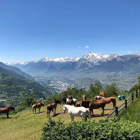 Hotell Mont-noble Nax