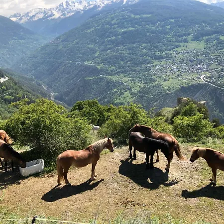 Ξενοδοχείο Mont-noble 2*