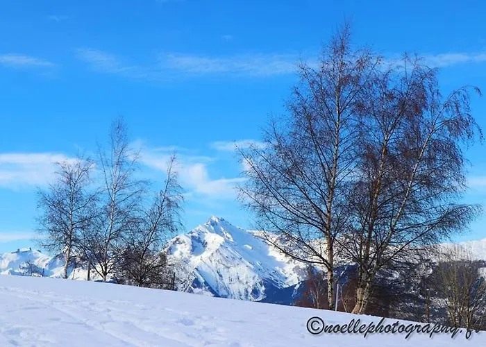 מלון Mont-noble Nax